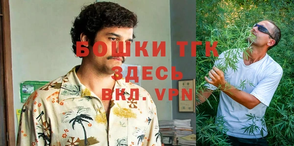 прущие крисы Белокуриха