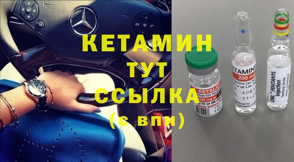 прущие крисы Белокуриха