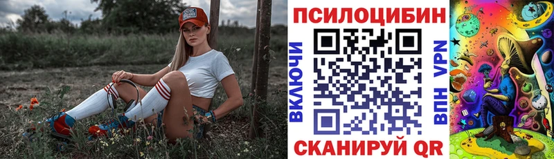 Псилоцибиновые грибы MAGIC MUSHROOMS  где найти   Михайловка 